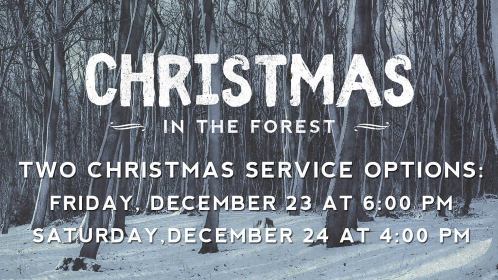 Christmas is almost here! 3