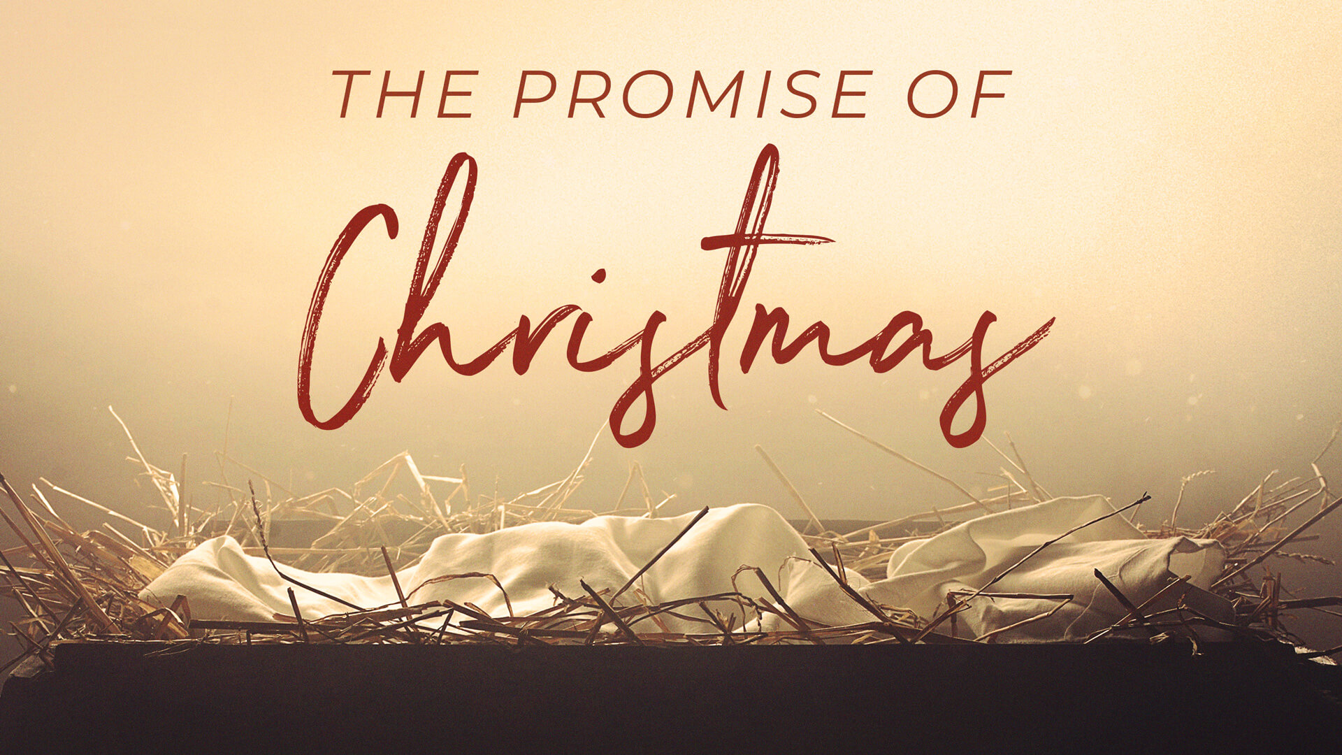 The Promise of Christmas 1